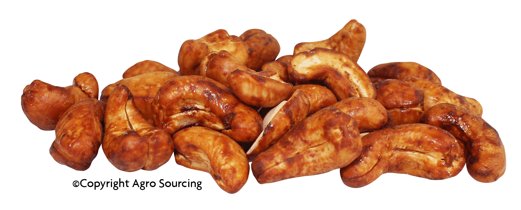 NOIX DE CAJOU GRILLEE AROMATISEE TAMARI WW320