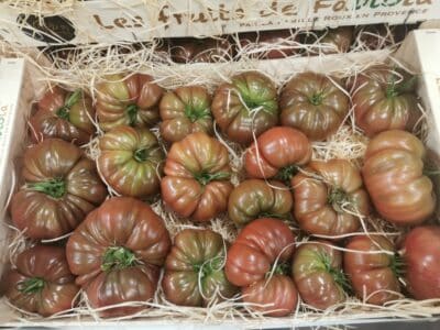 Tomate cotelée noire France bio