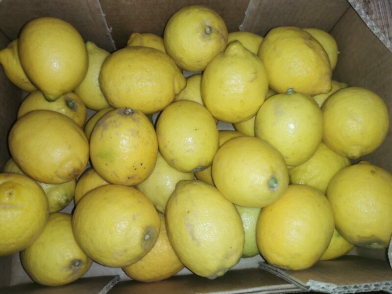 Citron Espagne bio