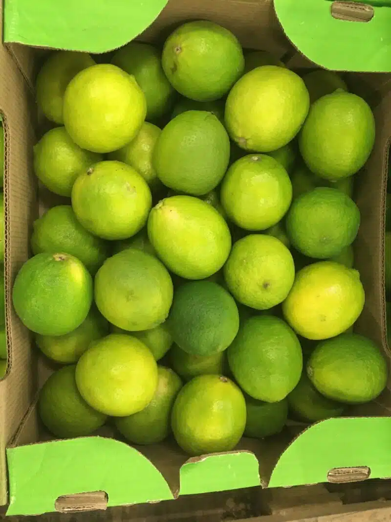 Citron vert limé Colombie bio