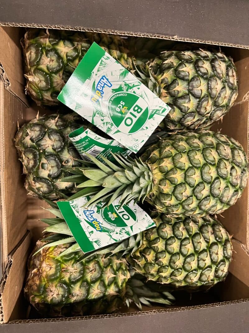 Ananas Côte d'Ivoire bio