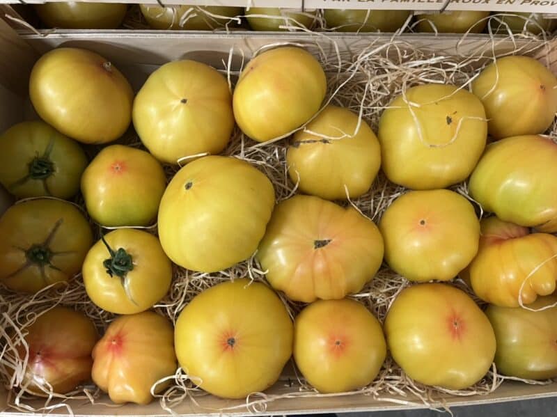 Tomate cotelée jaune France bio