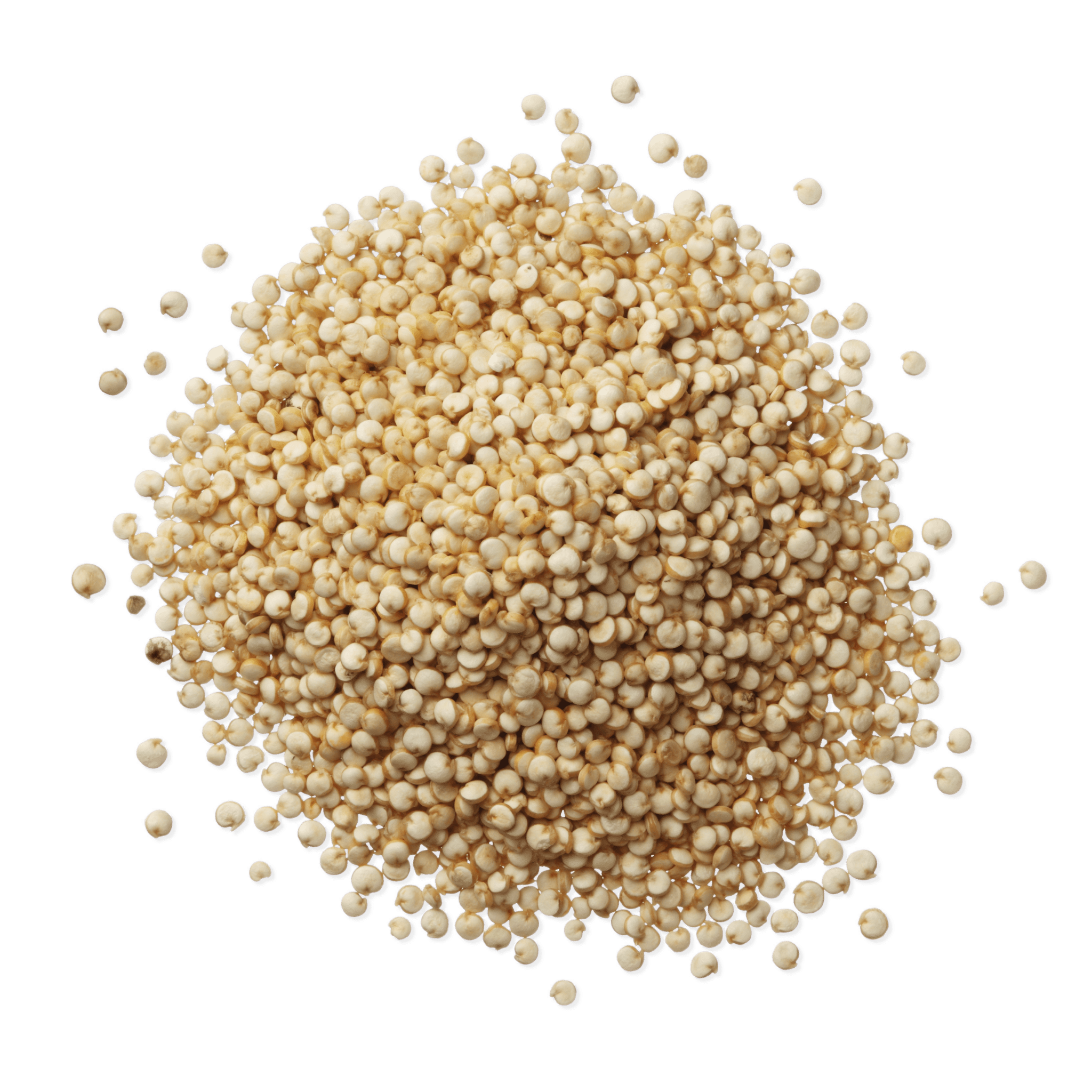 QUINOA BLANC 5kg