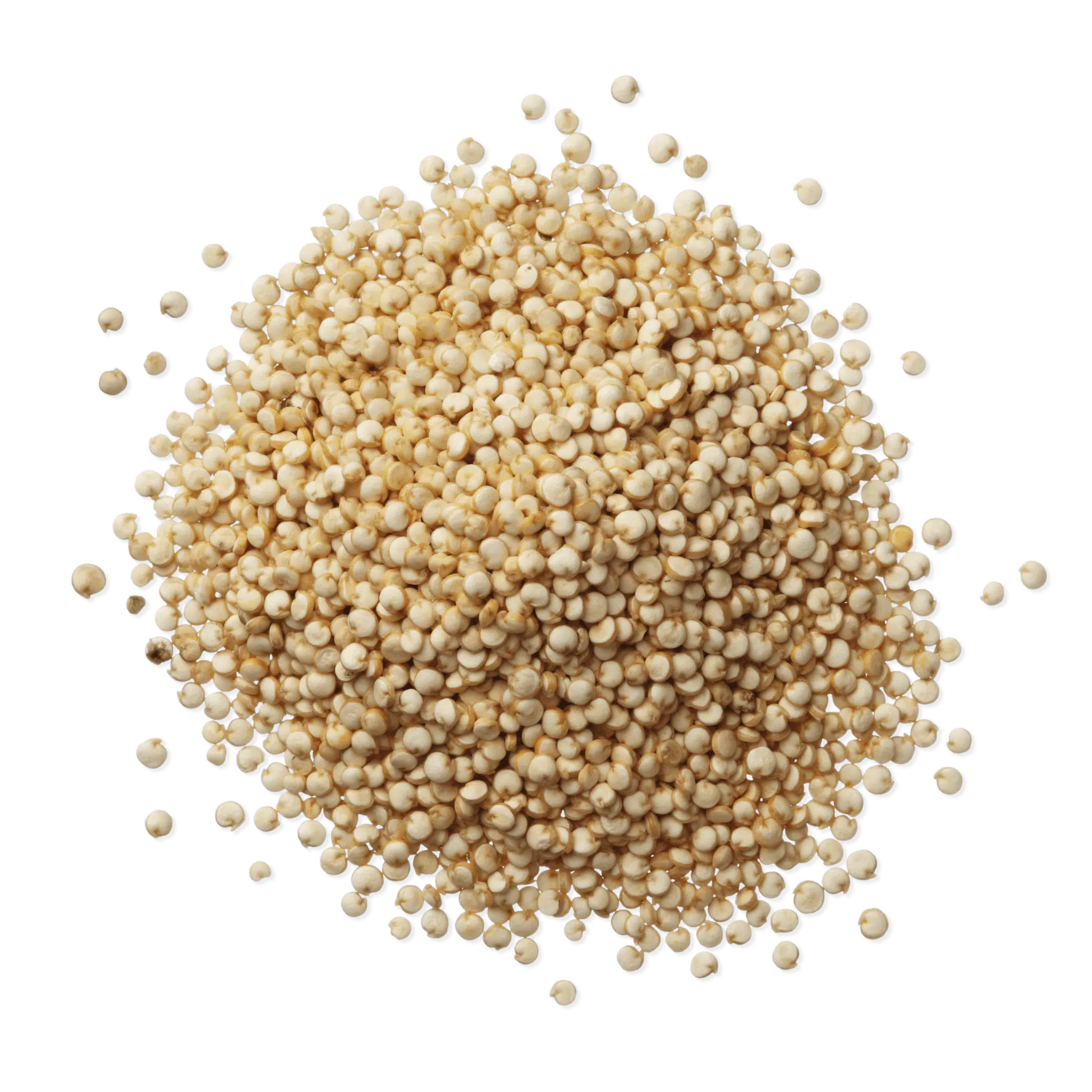 QUINOA BLANC 5kg
