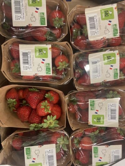 Fraise 250g France bio