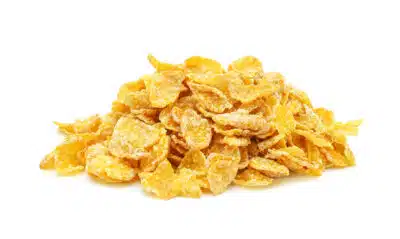 Corn flakes nature bio en vrac