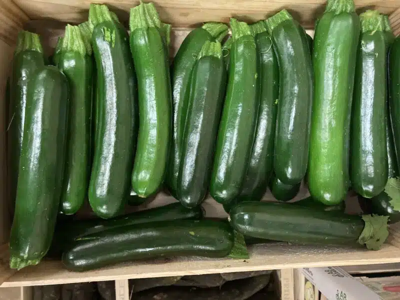 Courgette France bio