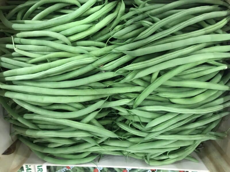 Haricot vert France bio