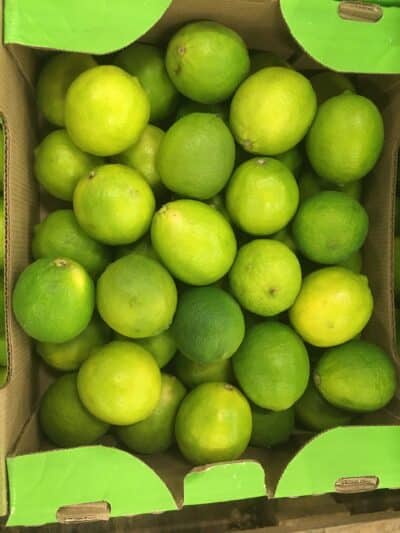 Citron vert limé Colombie bio