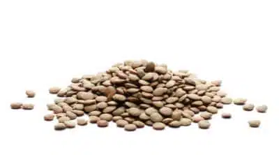 Lentilles vertes bio en vrac
