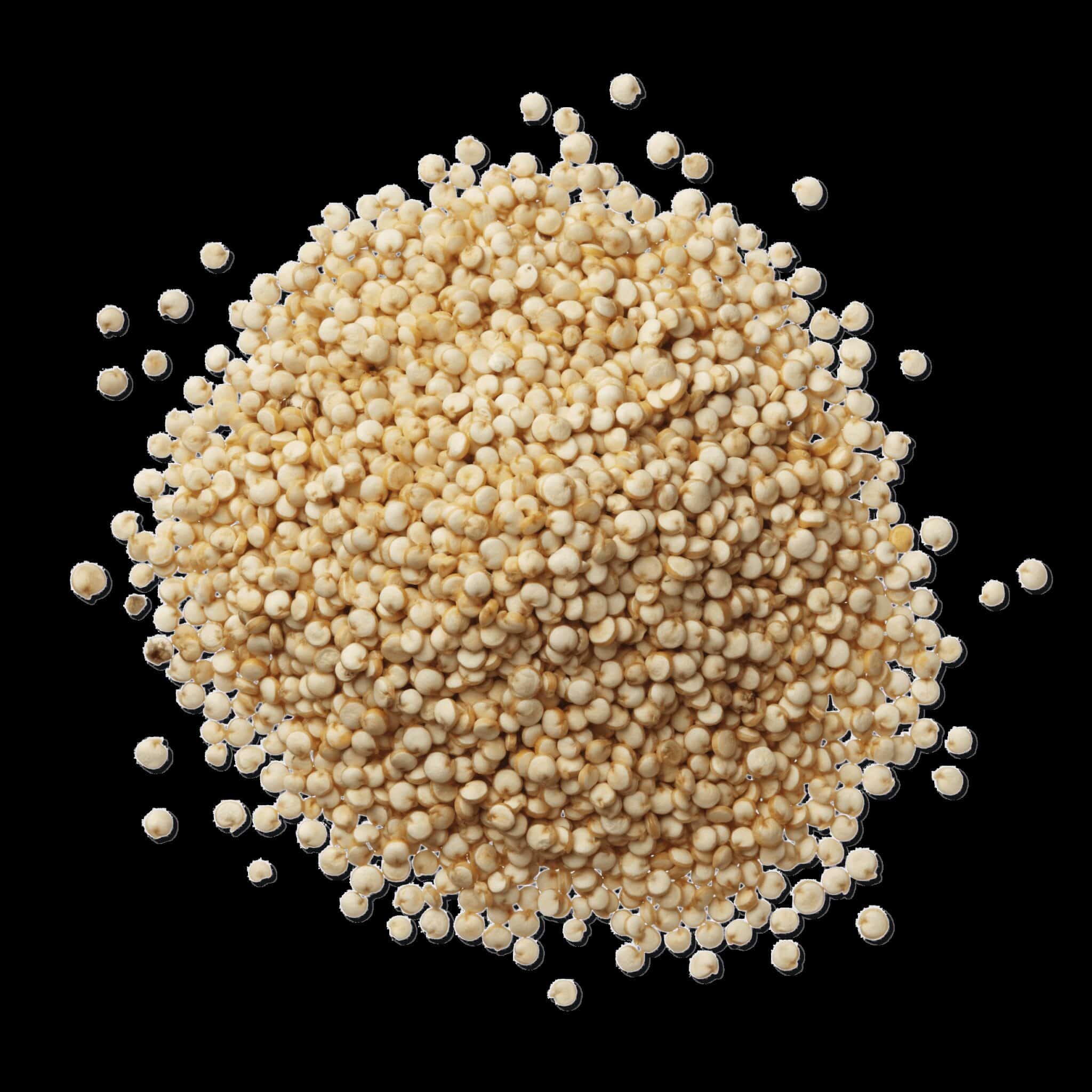 QUINOA BLANC 5kg