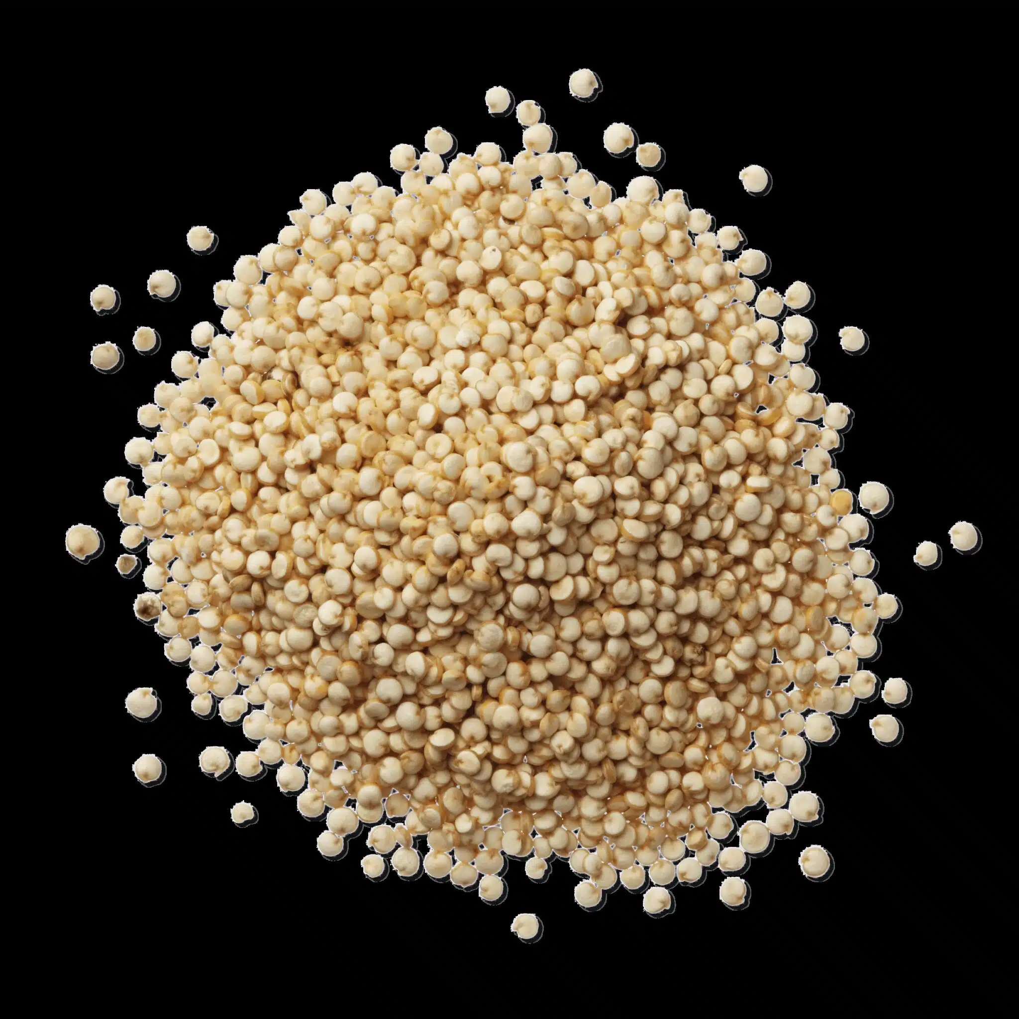 QUINOA BLANC 5kg