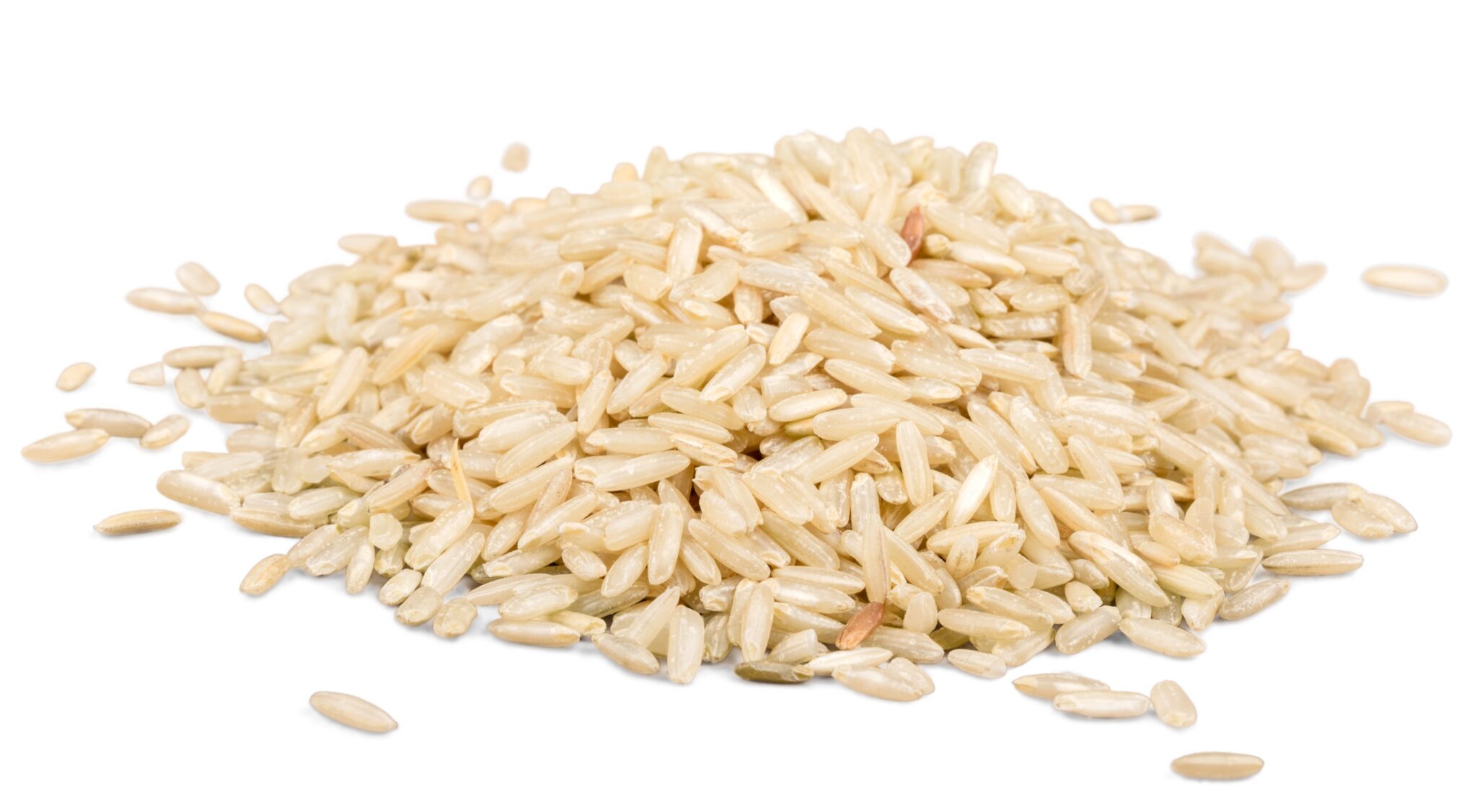 Riz de Camargue IGP long semi complet bio