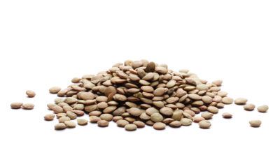 Lentilles vertes bio