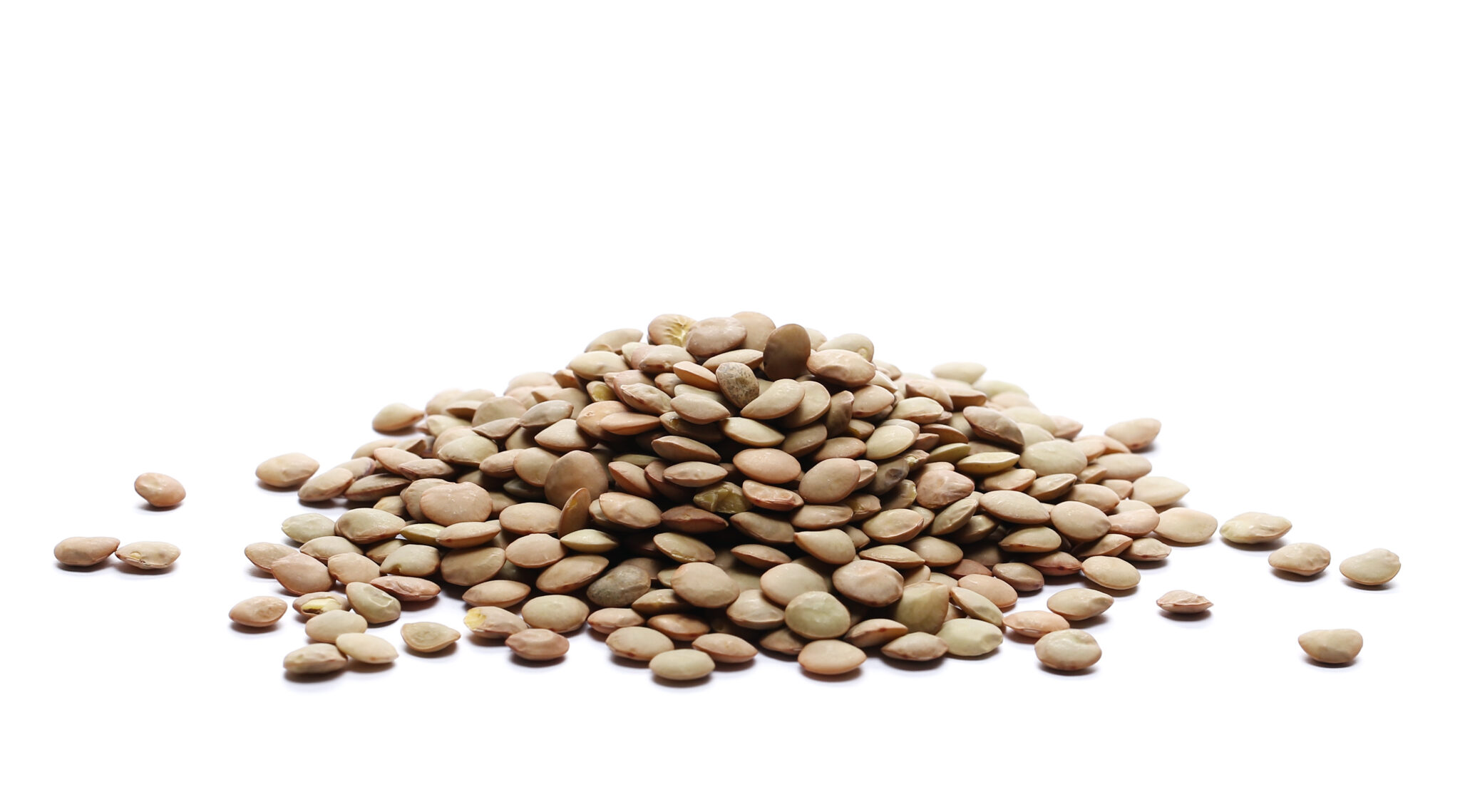 Lentilles vertes bio