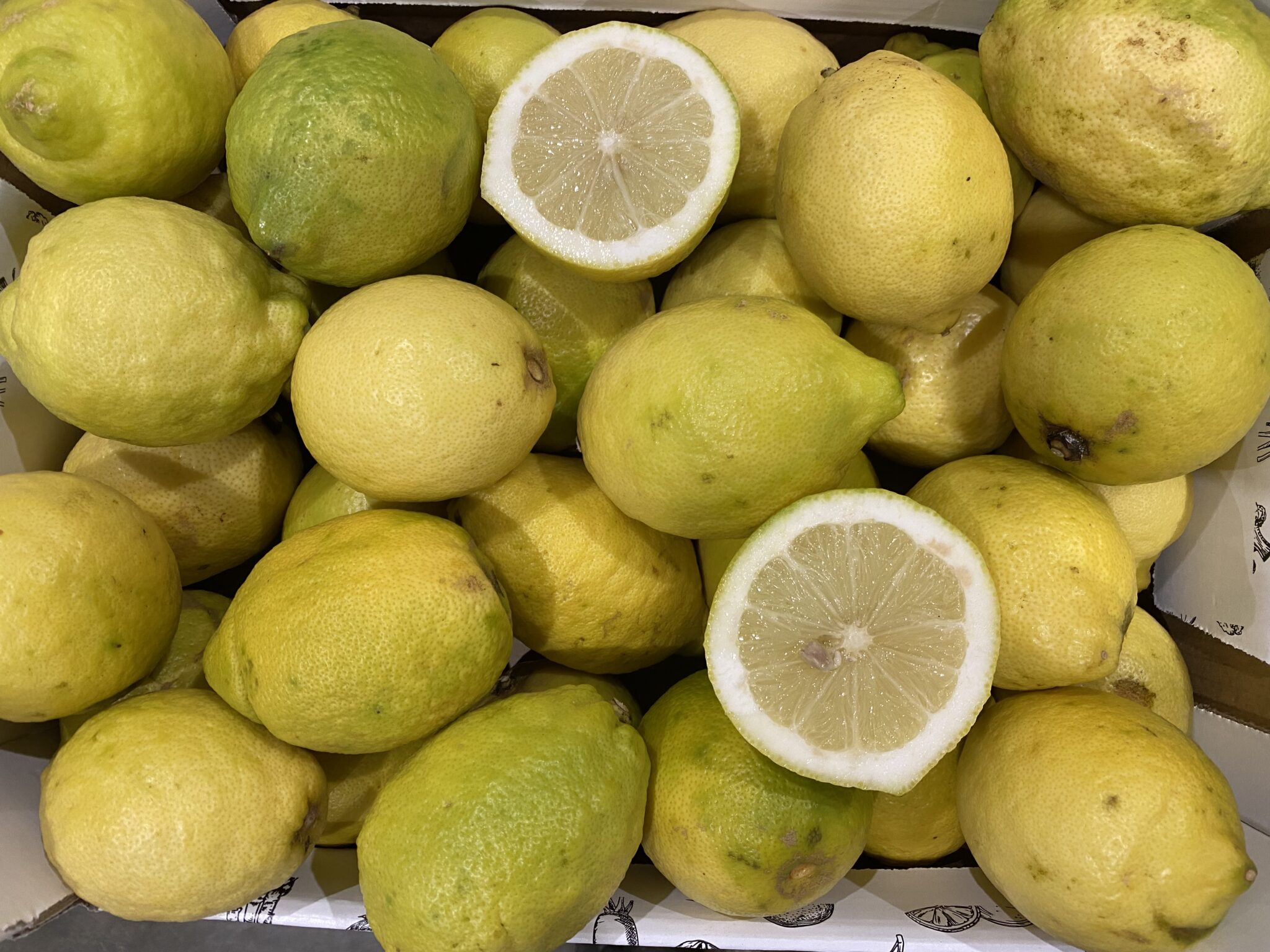 Citron Italie bio