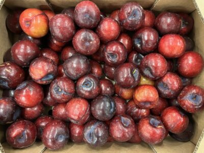 Prune rouge Espagne bio
