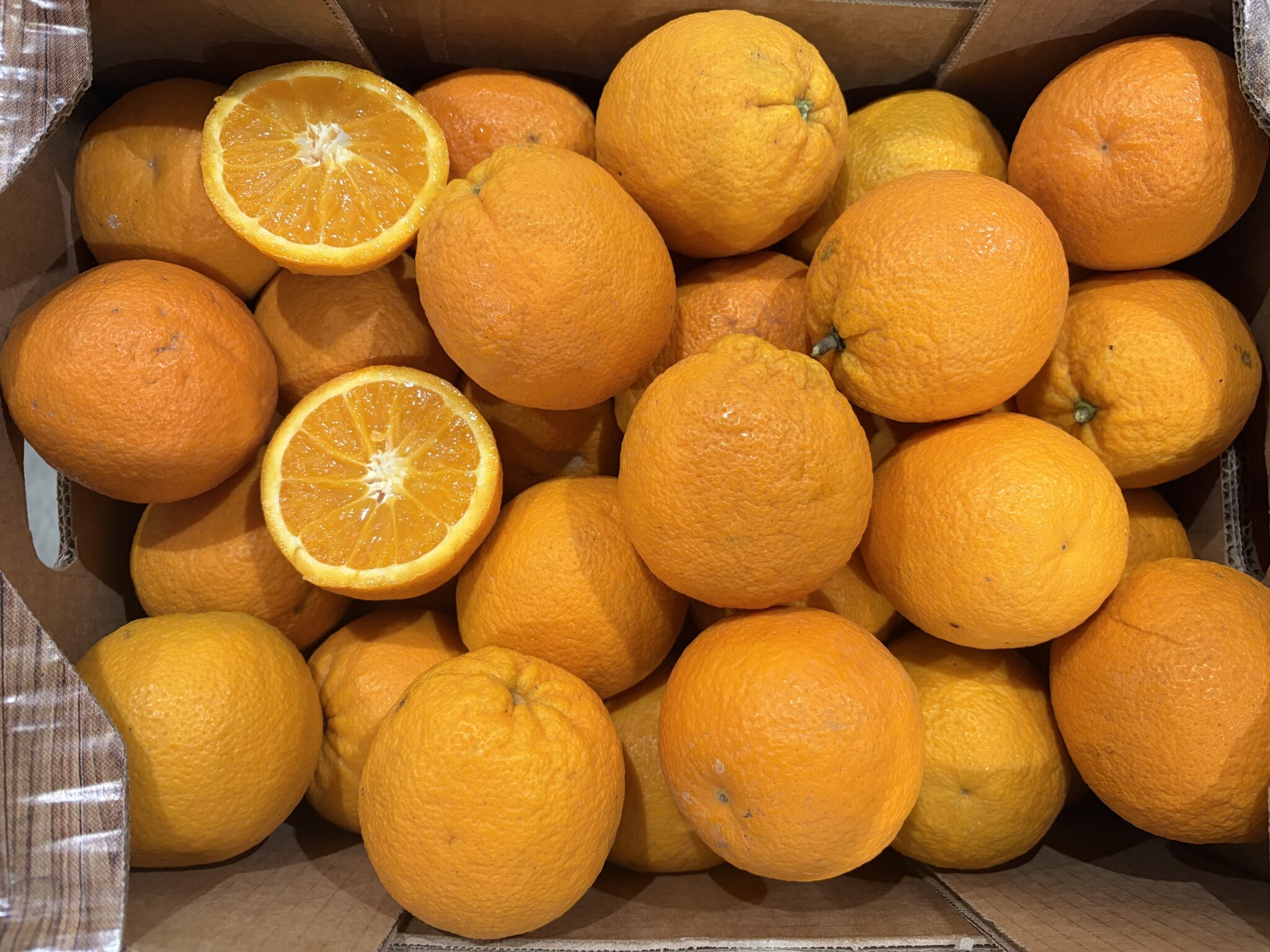 Orange Espagne bio