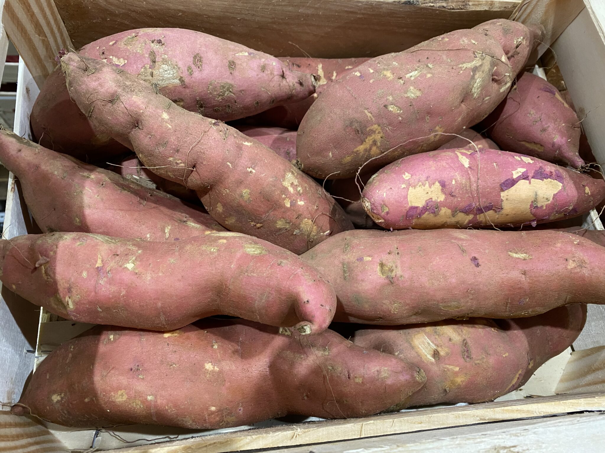 Patate douce bio France
