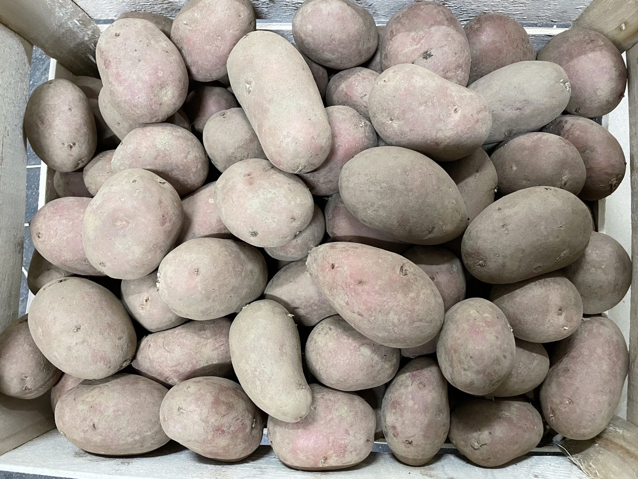 Pomme de terre rouge France bio