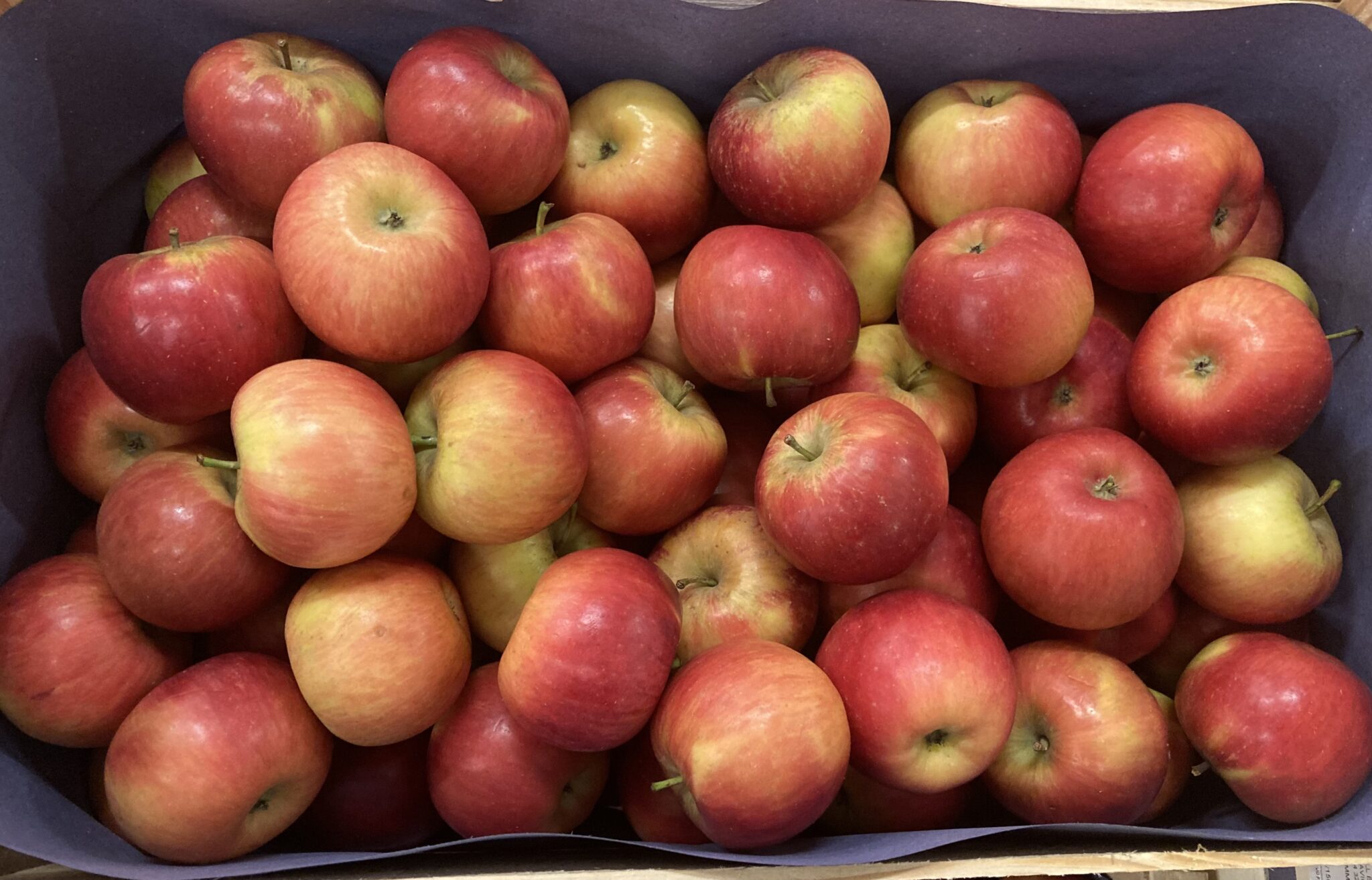Pomme royal gala France bio