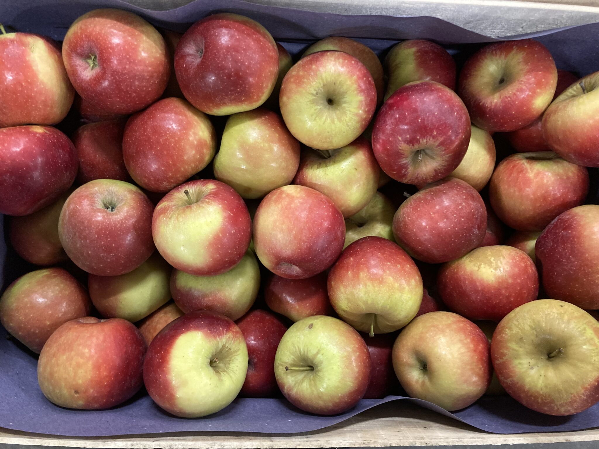Pomme dalinette France bio