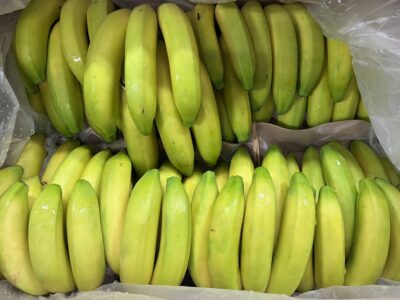 Banane République Dominicaine bio