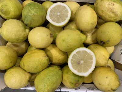Citron Italie bio