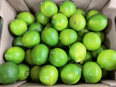 Citron vert limé Colombie bio