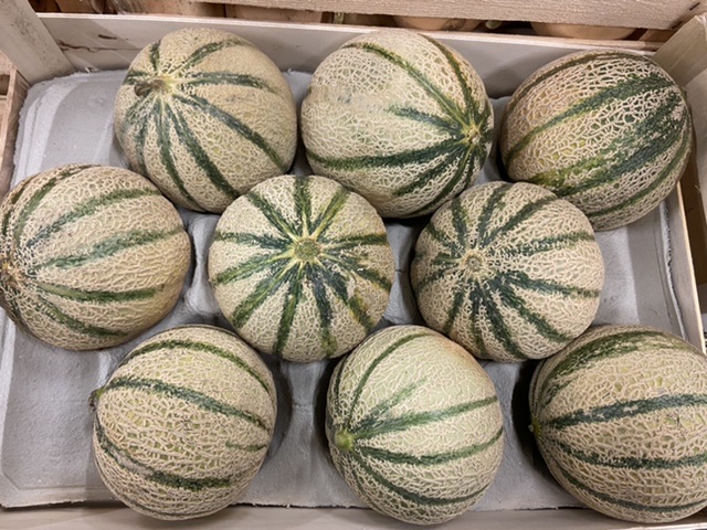 Melon France bio