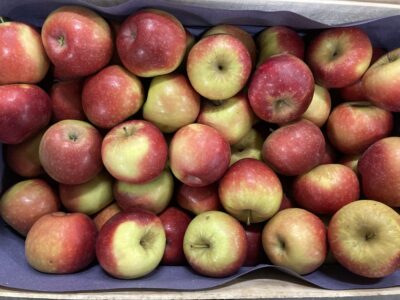 Pomme dalinette France bio