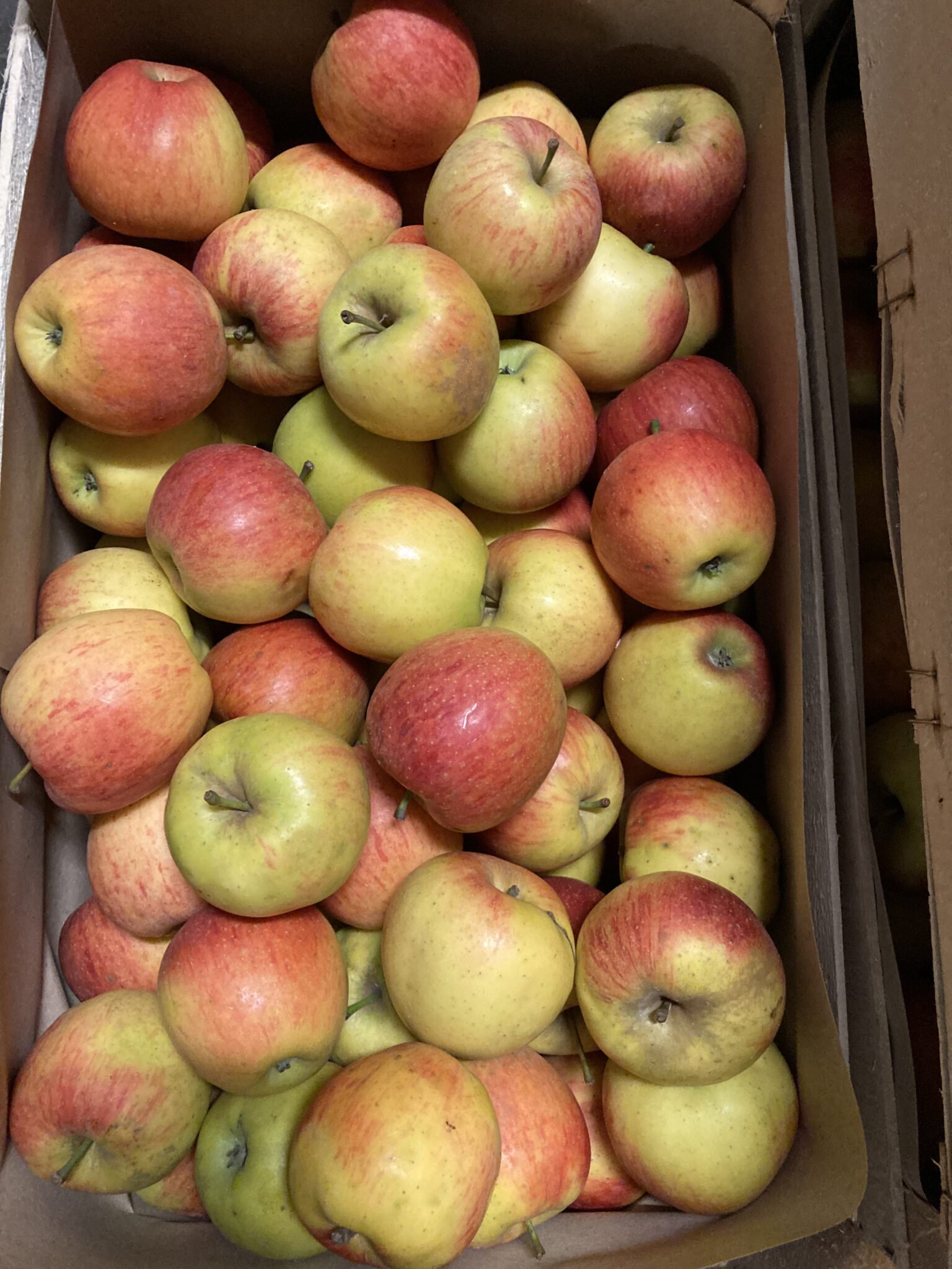 Pomme fuji France bio
