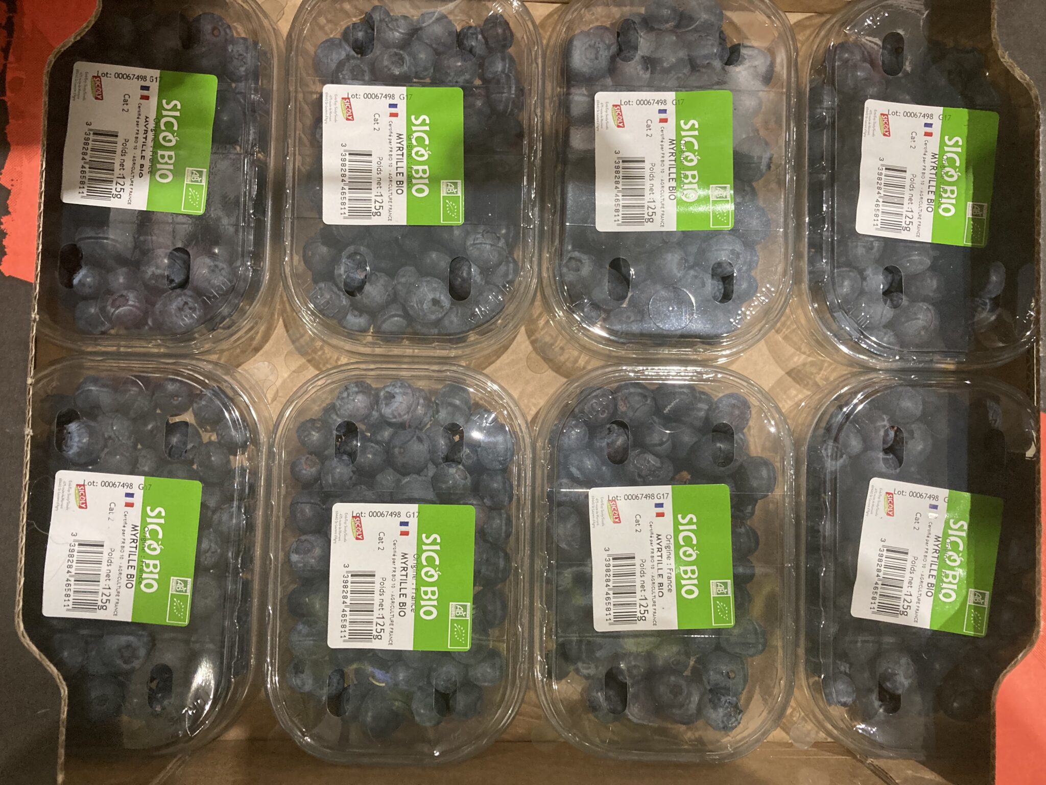 Myrtille 125g France bio
