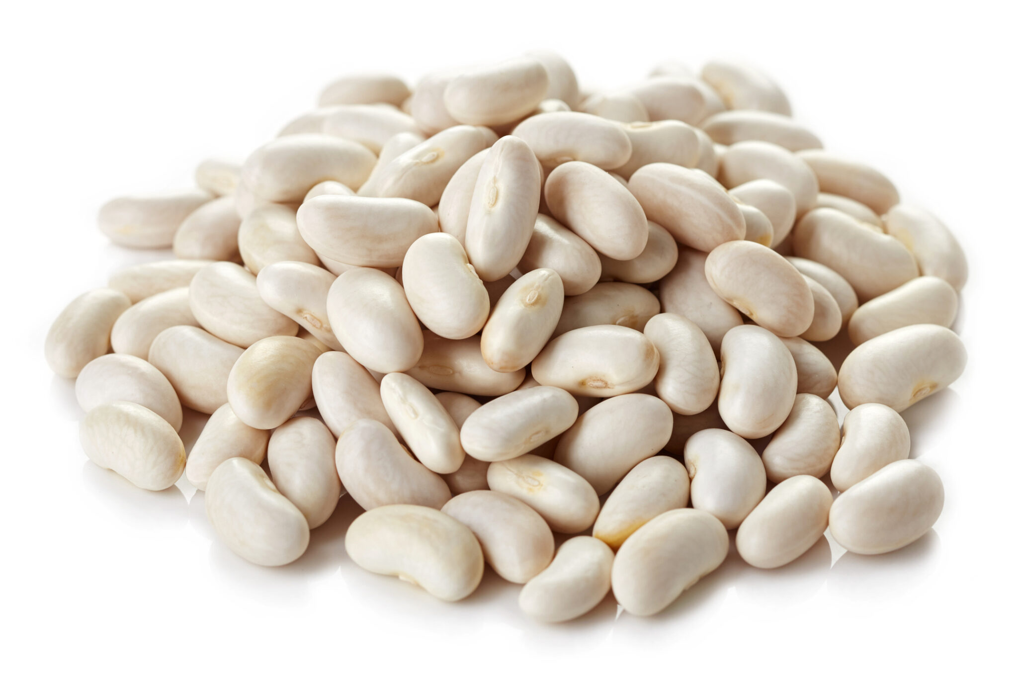 Haricots blancs bio
