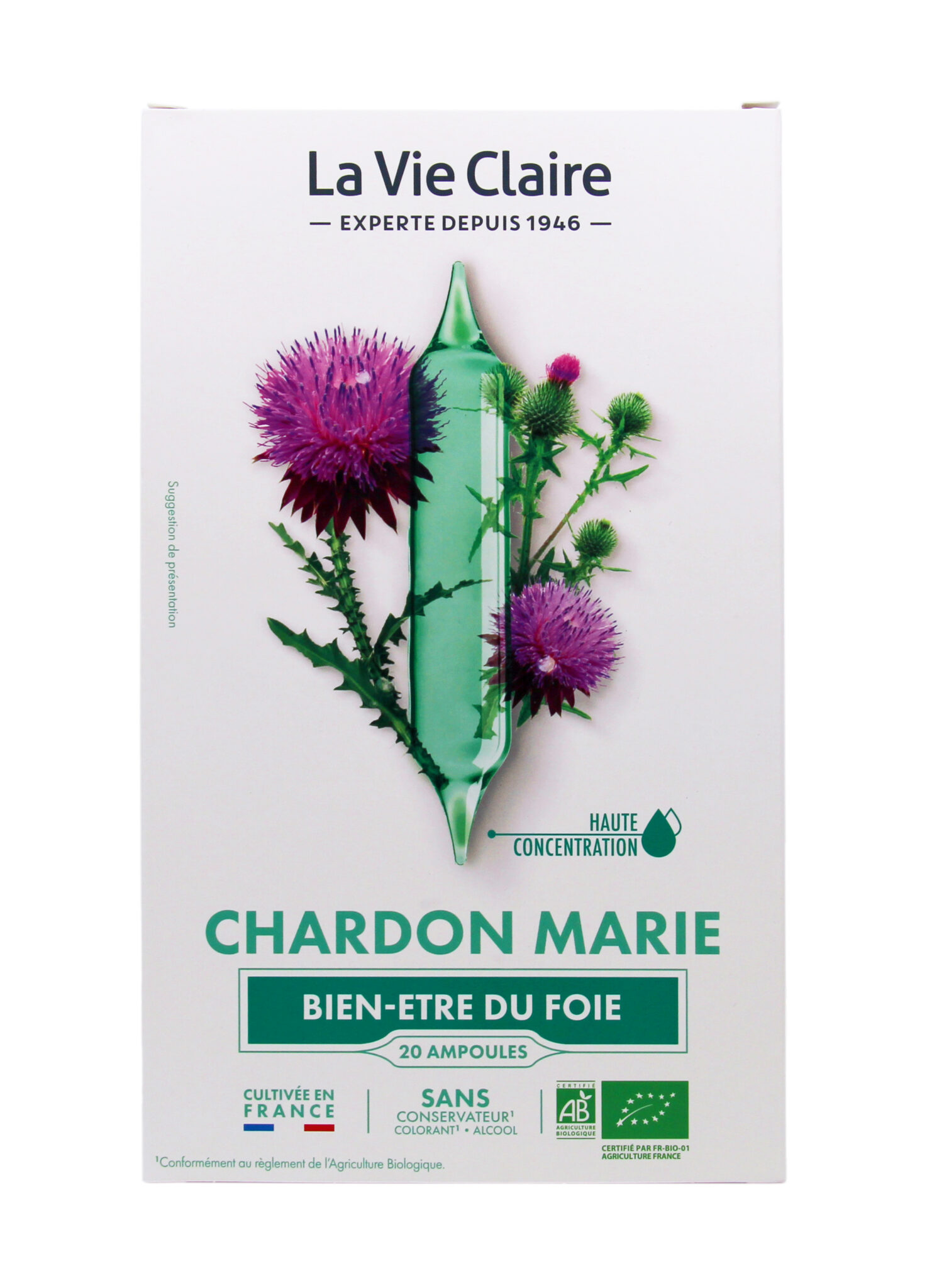 Chardon marie en ampoule