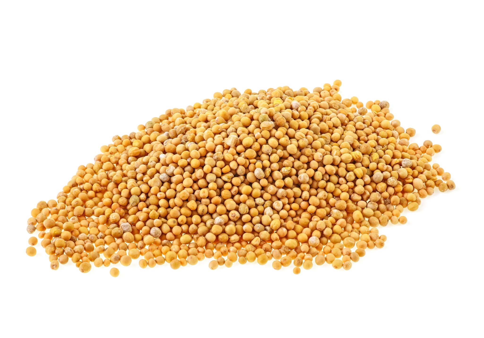 Graine de millet décortiquée bio