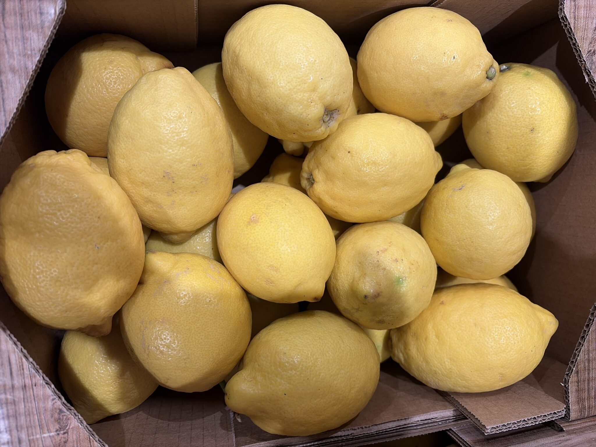 Citron Espagne bio
